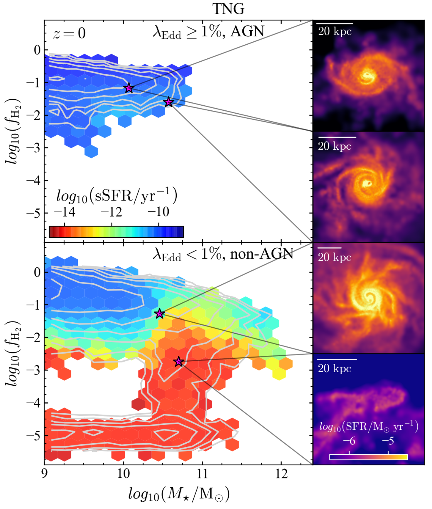 AGN host galaxy properties in cosmological simulations (Ward et al. 2022)